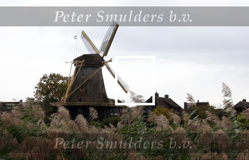 Weesp 4 oktober 2025
De molen in Weesp tijdens storm