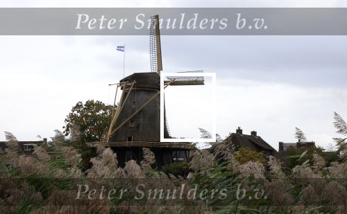 Weesp 4 oktober 2025
De molen in Weesp tijdens storm