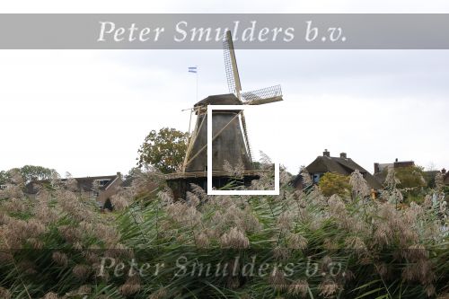 Weesp 4 oktober 2025
De molen in Weesp tijdens storm