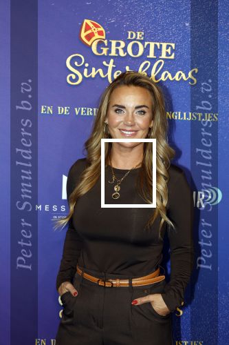 Amsterdam 5 oktober 2025
Premiere sinterklaas film in Pathe Noord. Monique Westenberg