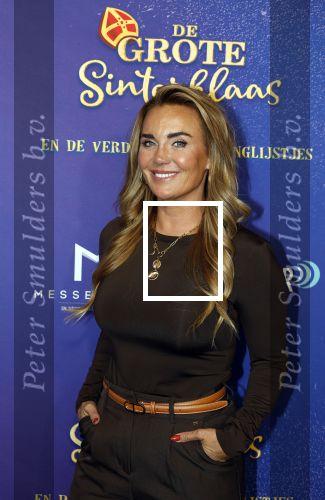 Amsterdam 5 oktober 2025
Premiere sinterklaas film in Pathe Noord. Monique Westenberg