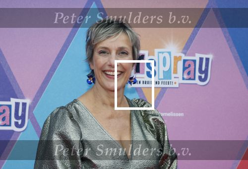 Rotterdam 12 oktober 2025
Premiere Hairspray in het oude Luxor in Rotterdam. Mylene D Anjou met....