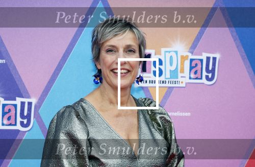 Rotterdam 12 oktober 2025
Premiere Hairspray in het oude Luxor in Rotterdam. Mylene D Anjou met....