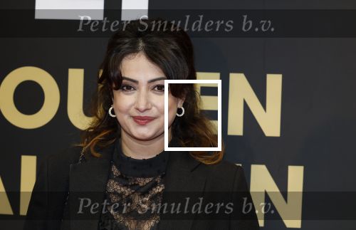 Utrecht 3 oktober 2025
Uitreiking gouden kalveren op het Nederlands film festival. Nazanin Taheri