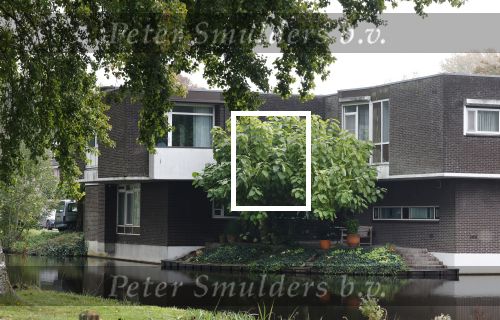 Ouderkerk aan de Amstel 7 oktober 2025
Nicolette Kluijver en partner Milan Zolak  hebben samen een nieuw huis gekocht op een prachtige locatie . Ze gaan het hele huis van boven tot beneden verbouwen .