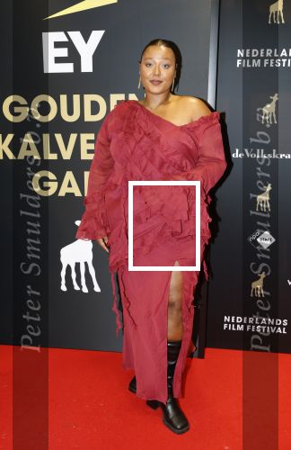 Utrecht 3 oktober 2025
Uitreiking gouden kalveren op het Nederlands film festival. Noel v Kleef