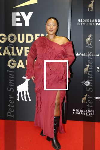 Utrecht 3 oktober 2025
Uitreiking gouden kalveren op het Nederlands film festival. Noel v Kleef