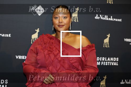 Utrecht 3 oktober 2025
Uitreiking gouden kalveren op het Nederlands film festival. Noel v Kleef