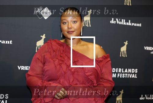 Utrecht 3 oktober 2025
Uitreiking gouden kalveren op het Nederlands film festival. Noel v Kleef