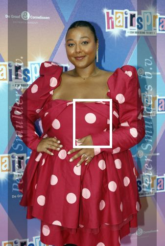 Rotterdam 12 oktober 2025
Premiere Hairspray in het oude Luxor in Rotterdam. Noel v Kleef