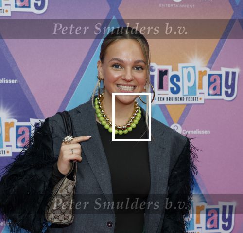 Rotterdam 12 oktober 2025
Premiere Hairspray in het oude Luxor in Rotterdam.