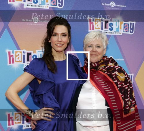 Rotterdam 12 oktober 2025
Premiere Hairspray in het oude Luxor in Rotterdam. Renee v wegberg