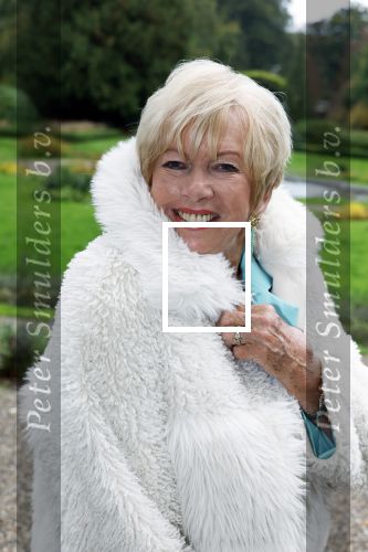 Doorn 5 oktober 2025
Cd presentatie van Anneke Gronloh .Ria Valk kwam met haar partner