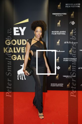 Utrecht 3 oktober 2025
Uitreiking gouden kalveren op het Nederlands film festival. Romy Gevers