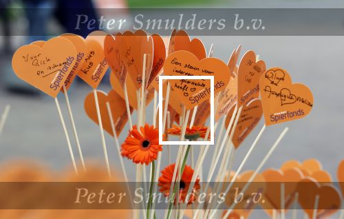 Soestdijk 4 oktober 2025
Prinses Beatrix op paleis Soestdijk bij de finish Oranjepad van het Prinses Beatrix Spierfonds.
