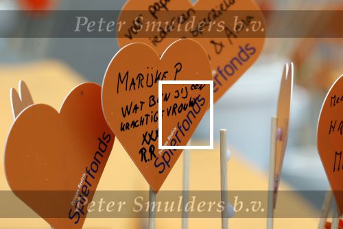 Soestdijk 4 oktober 2025
Prinses Beatrix op paleis Soestdijk bij de finish Oranjepad van het Prinses Beatrix Spierfonds.