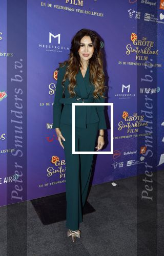 Amsterdam 5 oktober 2025
Premiere sinterklaas film in Pathe Noord. tamara Elbaz met zoontje
