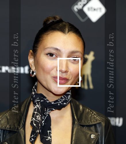 Utrecht 3 oktober 2025
Uitreiking gouden kalveren op het Nederlands film festival. Tara Hetharia en partner