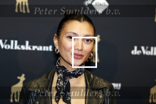 Utrecht 3 oktober 2025
Uitreiking gouden kalveren op het Nederlands film festival. Tara Hetharia en partner