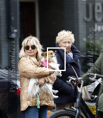 Amsterdam 10 oktober 2025
Tatjana Simic met haar hondje en moeder op straat in Amsterdam zuid.