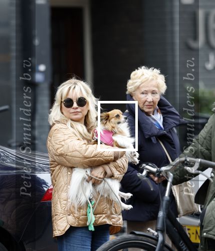 Amsterdam 10 oktober 2025
Tatjana Simic met haar hondje en moeder op straat in Amsterdam zuid.