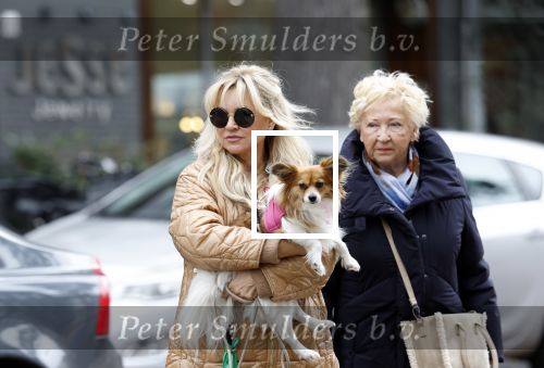 Amsterdam 10 oktober 2025
Tatjana Simic met haar hondje en moeder op straat in Amsterdam zuid.