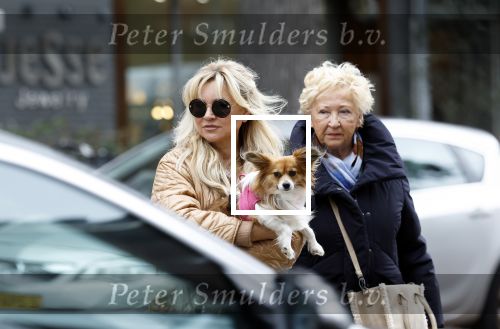 Amsterdam 10 oktober 2025
Tatjana Simic met haar hondje en moeder op straat in Amsterdam zuid.