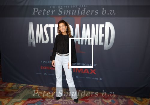 Amsterdam 7 oktober 2025
Soort van voor premiere Amsterdamned II in tuschinski met Huub Stapel Tatum Dagelet Holly Brood en Dick Maas.
