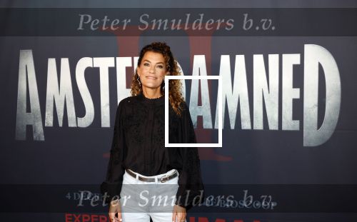 Amsterdam 7 oktober 2025
Soort van voor premiere Amsterdamned II in tuschinski met Huub Stapel Tatum Dagelet Holly Brood en Dick Maas.