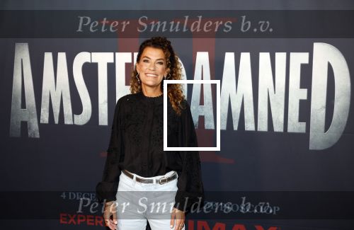 Amsterdam 7 oktober 2025
Soort van voor premiere Amsterdamned II in tuschinski met Huub Stapel Tatum Dagelet Holly Brood en Dick Maas.