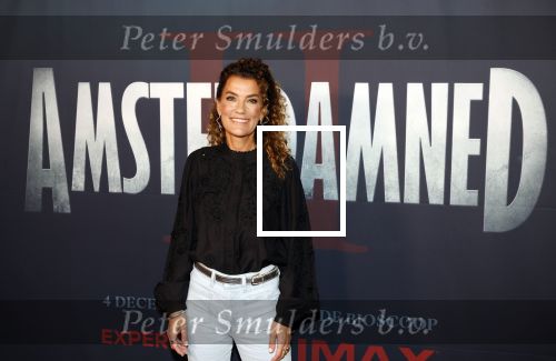 Amsterdam 7 oktober 2025
Soort van voor premiere Amsterdamned II in tuschinski met Huub Stapel Tatum Dagelet Holly Brood en Dick Maas.