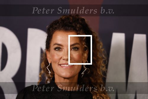 Amsterdam 7 oktober 2025
Soort van voor premiere Amsterdamned II in tuschinski met Huub Stapel Tatum Dagelet Holly Brood en Dick Maas.