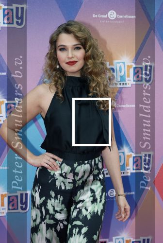 Rotterdam 12 oktober 2025
Premiere Hairspray in het oude Luxor in Rotterdam. Tessa van Tol