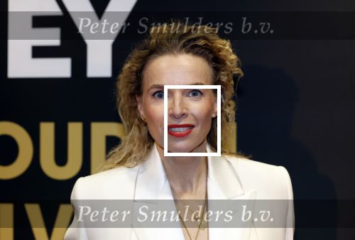 Utrecht 3 oktober 2025
Uitreiking gouden kalveren op het Nederlands film festival. Thekla Reuten kwam met partner Gijs Naber
