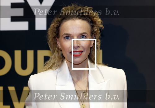 Utrecht 3 oktober 2025
Uitreiking gouden kalveren op het Nederlands film festival. Thekla Reuten kwam met partner Gijs Naber