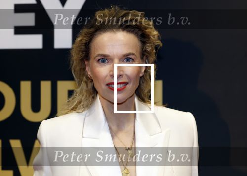 Utrecht 3 oktober 2025
Uitreiking gouden kalveren op het Nederlands film festival. Thekla Reuten kwam met partner Gijs Naber