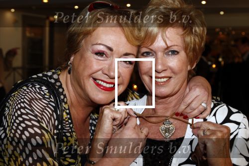 Loosdrecht 29 januari 2009
Presentatie dvd Ria Valk in Golden tulip hotel. Viola Holt
Peter Smulders bv