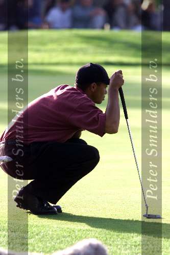Marbella 12 november 2000
 Golfclub Valderrama American Express Championships.
Tiger Woods  golfen   putten