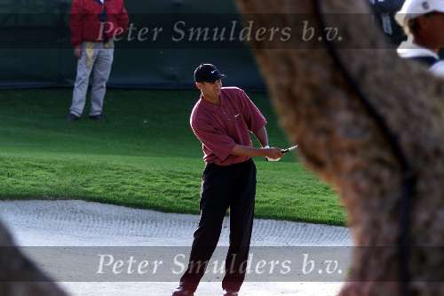 Marbella 12 november 2000
 Golfclub Valderrama American Express Championships.
Tiger Woods  golfen   uit bunker
