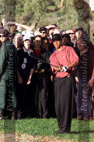 Marbella 12 november 2000
 Golfclub Valderrama American Express Championships.
Tiger Woods  golfen