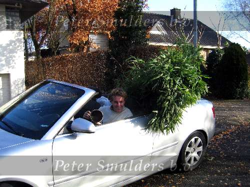Barneveld 18 november 2003
Edwin Smulders met Audi a4 cabrio met struiken