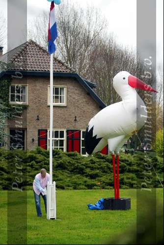Castricum 23 november 2003
Frank La croix met grote ooievaar in tuin na geboorte zoon en kleinzoon Henny Huisman