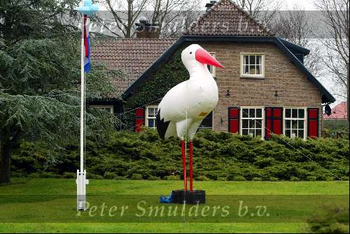 Castricum 23 november 2003
Grote ooievaar in tuin na geboortekleinzoon henny huisman