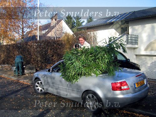 Barneveld 18 november 2003

edwin smulders met audi a4 cabrio met struiken


peter Smulders bv