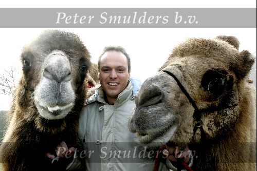 Fijnaart 25 november 2004
Frans Bauer en familie opnames met Sinterklaas en Kamelen.