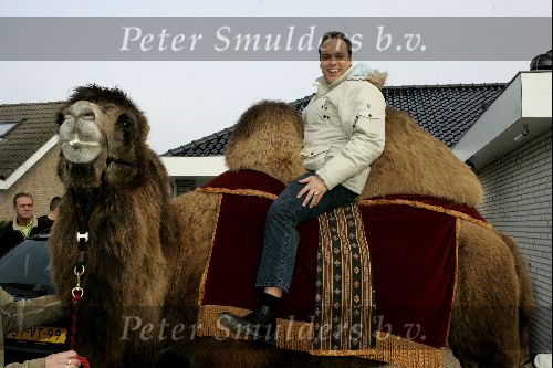 Fijnaart 25 november 2004
Frans Bauer en familie opnames  Kamelen