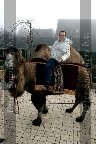 Fijnaart 25 november 2004
Frans Bauer en familie opnames met Kamelen
