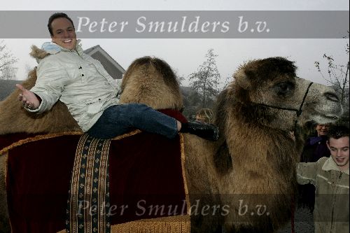 Fijnaart 25 november 2004
Frans Bauer en familie opnames met kamelen