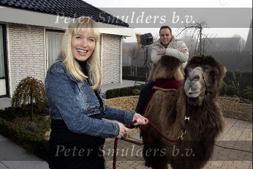 Fijnaart 25 november 2004
Frans Bauer en familie opnames met Sinterklaas en Kamelen.   Frans Bauer en Mariska Bauer zwanger