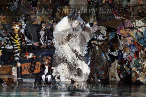 Rotterdam 7 oktober 2006
Premiere Cats in het nieuwe luxor.
Marco Bakker
